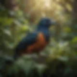Close-up view of drake pests on foliage