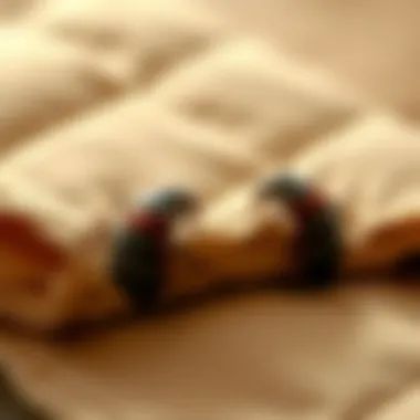 Notable Understanding Futon Bed Bugs: Identification, Prevention, and Treatment Notable Understanding Futon Bed Bugs: Identification, Prevention, and Treatment