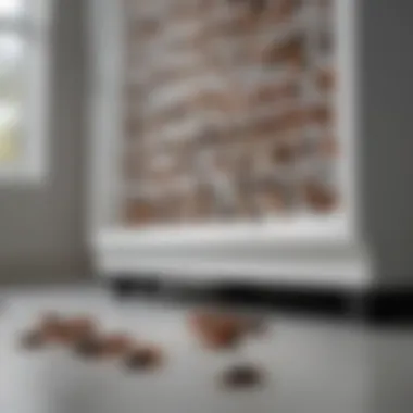 Health Risks Linked to Roach Infestations Health risks associated with roach-infested appliances