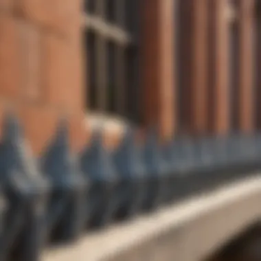 Close-up view of plastic pigeon spikes on a building ledge