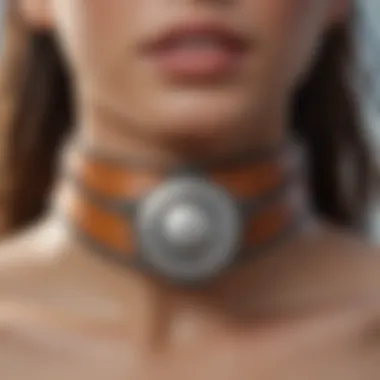 Waterproof Features of Seresto Collar Close-up of Seresto collar highlighting waterproof features