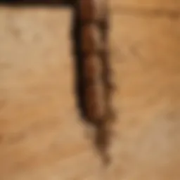 Close-up view of termite damage on wood