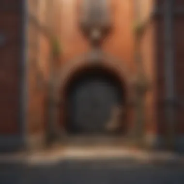 Illustration of common entry points for mice in urban environments