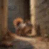 Squirrel entering a basement through a small opening