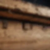 Close-up of a wooden beam showing signs of pest damage